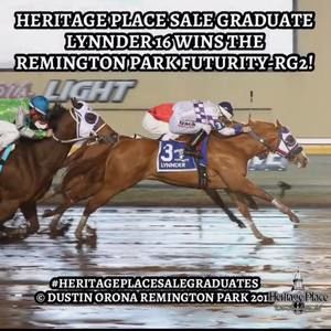 Meet your Posher, Cristian r